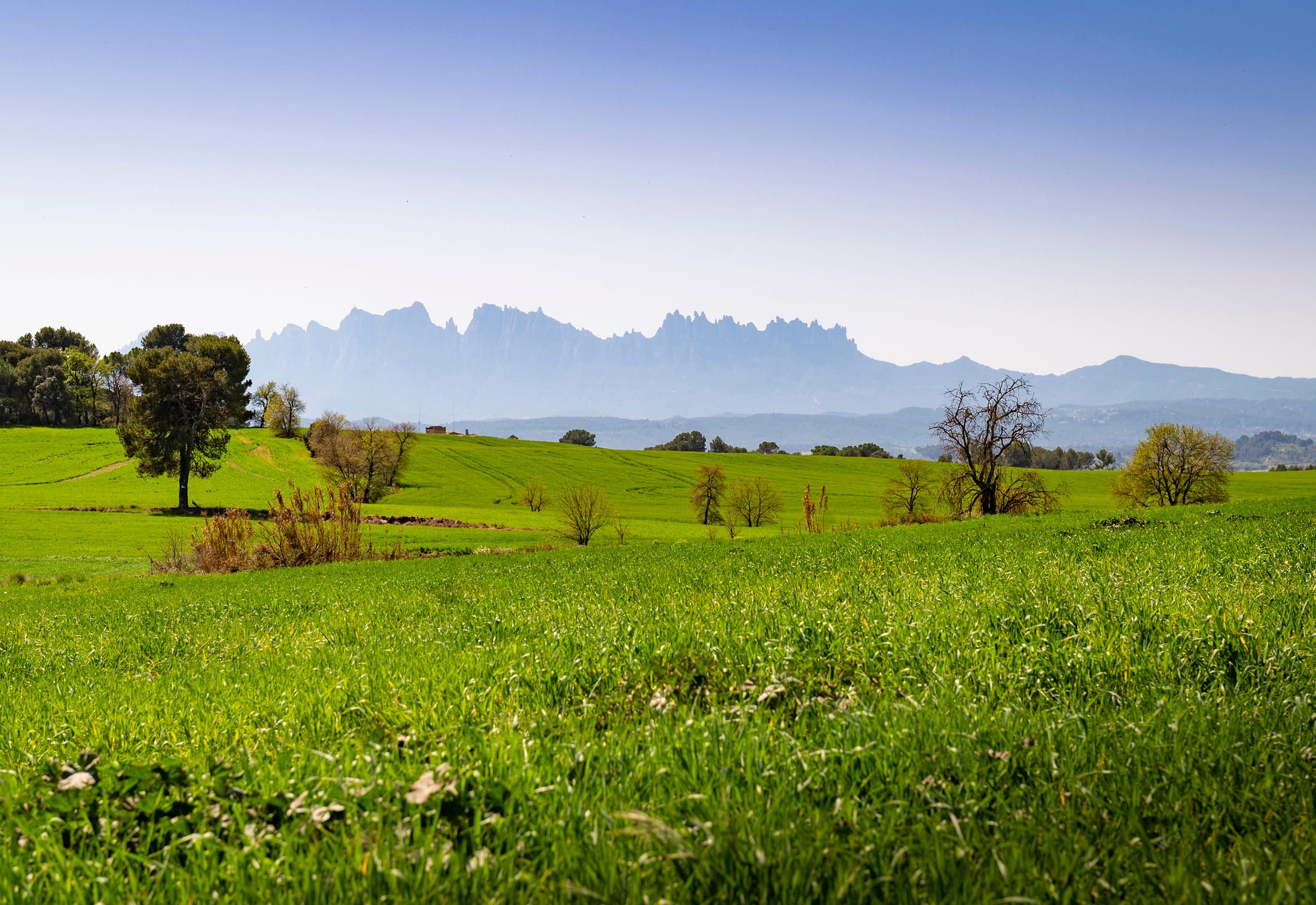 Un pueblo para vivir, pasear y disfrutar con todos los sentidos.